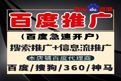 案例分析：SEM搜索引擎优化效果提升之道